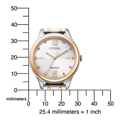 Bendixen-Braun women's bicolor solar watch with a light beige dial, Roman numerals at 12 and 6, and rose gold accents.