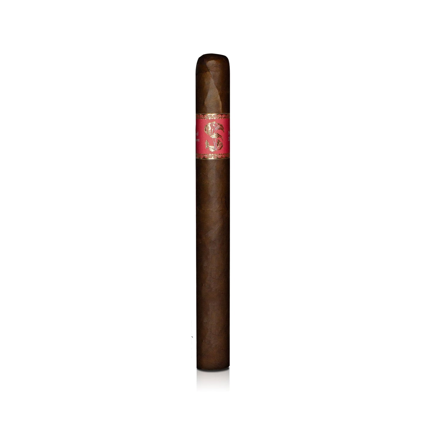 Matilde Limited Exposure No. 1 – Robusto Bendixen-Braun – Dein Fachgeschäft für Zigarren in Augsburg