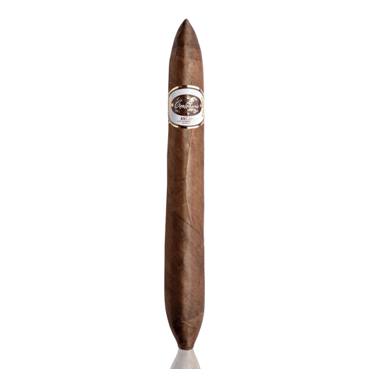 Kräftige Zigarre Centenario Anejo Salomones Bendixen-Braun Zigarren in Augsburg